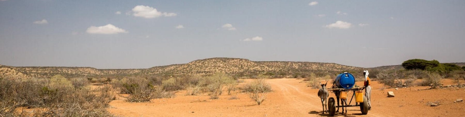 visione di terreno secco e arido con asino che trasporta bidoni di acqua