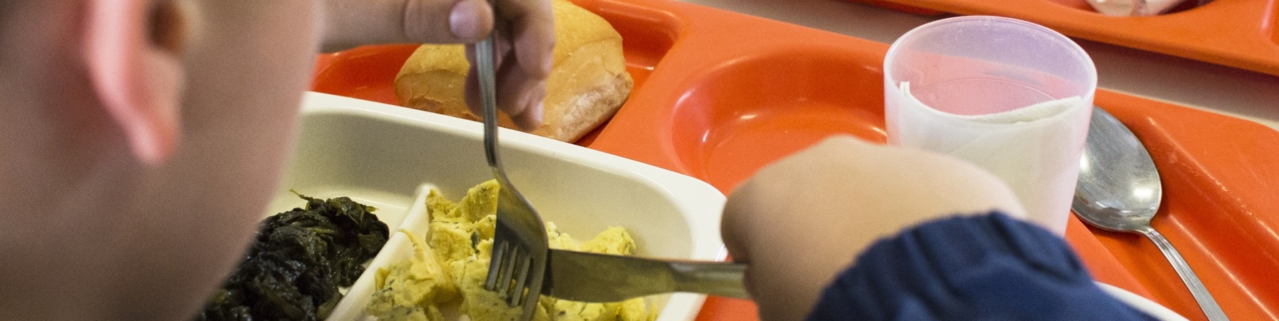 bambino di spalle mentre mangia in un piatto da mensa scolastica