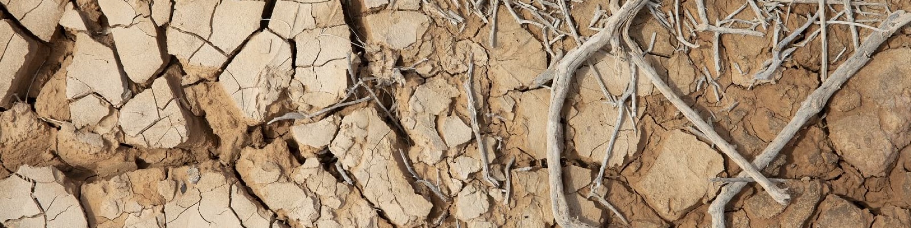 terra seccata dalla siccità