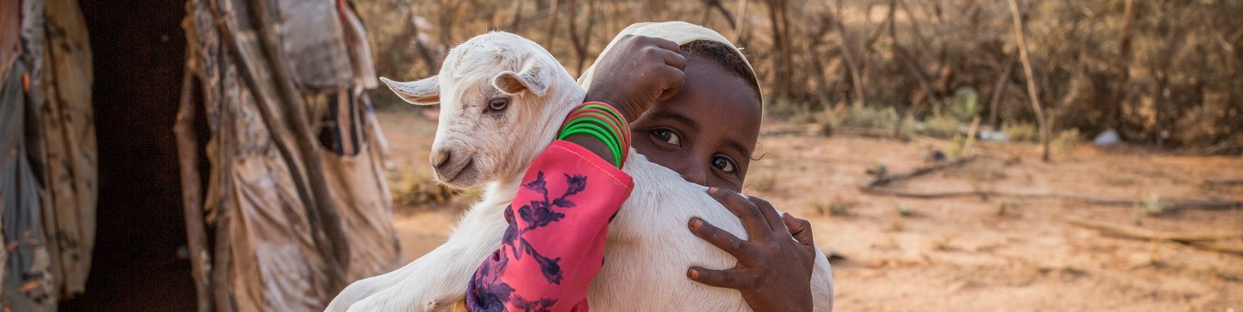 bimba somala con belo bianco e vestito lungo colorato con in braccio una capretta bianca fuori dalla sua abitazione in una zona semi desertica 