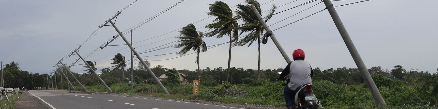 strada con palme piegata da una tempesta e un motorino sulla strada