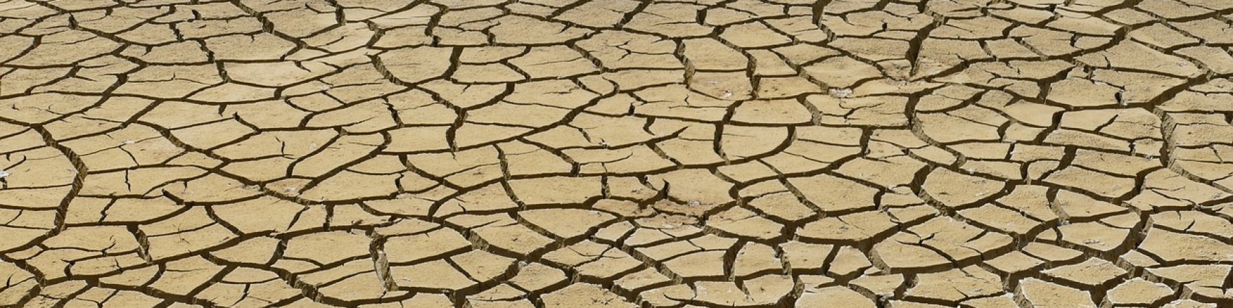terreno arido e secco per siccità 