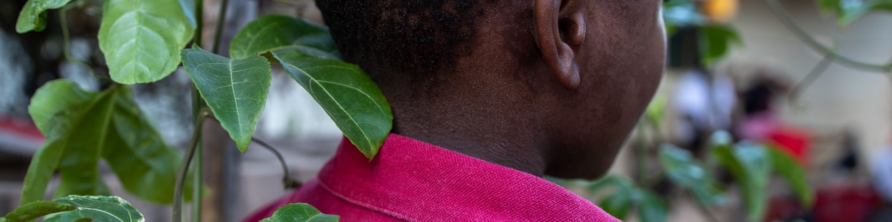 ragazzo di spalle davanti ad un albero che indossa un maglioncino fucsia