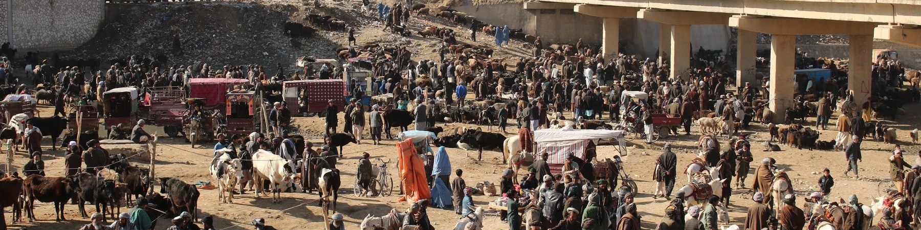 Scena di un mercato in Afghanistan con molte persone inquadrate dall'alto