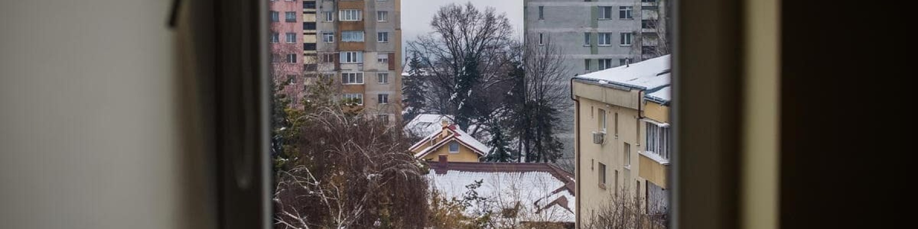 visione da finestra in cui si vede un albero con neve