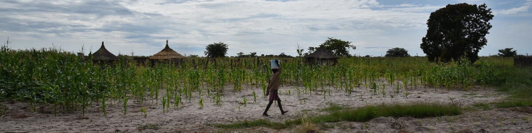 Bambina sorregge un secchio di acqua sulla testa mentre cammina su un terreno in Zambia