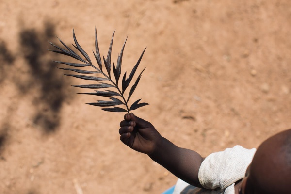 Foto di bambino con in mano una foglia di palma.