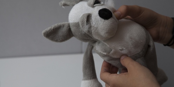 mani tengono un peluche rovinato a forma di cane