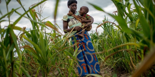 donna africana con bambino in braccio che piange contornati da un campo di pannocchie e sullo sfondo un cielo grigio 