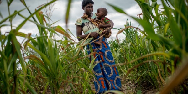 donna africana con bambino in braccio che piange contornati da un campo di pannocchie e sullo sfondo un cielo grigio