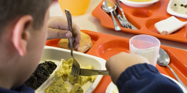bambino di spalle mentre mangia in un piatto da mensa scolastica