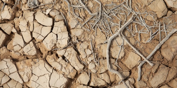 terra seccata dalla siccità