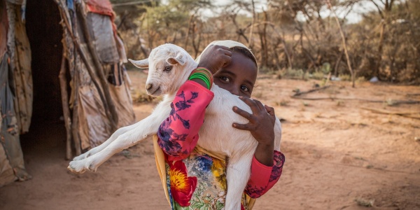 bimba somala con belo bianco e vestito lungo colorato con in braccio una capretta bianca fuori dalla sua abitazione in una zona semi desertica 