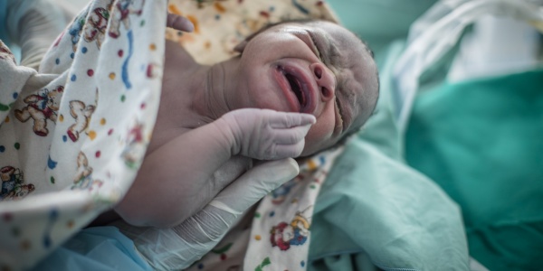 Bambino appena nato in ospedale nella mano con guanto di un medico
