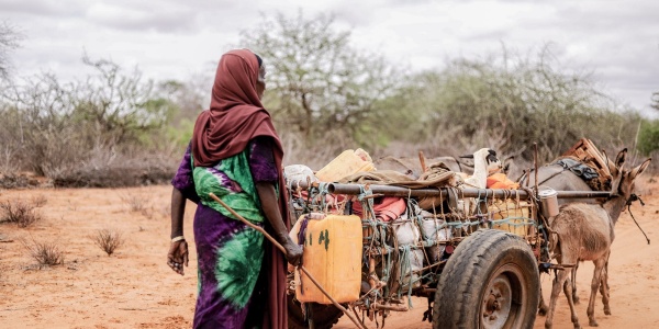 donna con vestito colorato e velo sul capo segue un carretto trainato da muli in una zona desertica