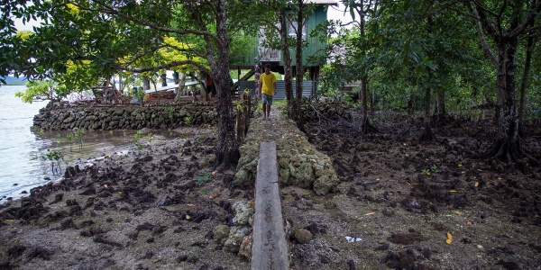 Un ragazzo delle isole del pacifico cammina su un tronco immerso nella natura vicino al mare