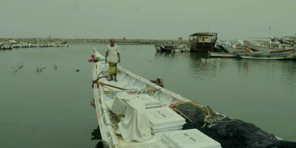 pescatore con maglia bianca in piedi sulla prua di una barca bianca ormeggiata al porto in Yemen