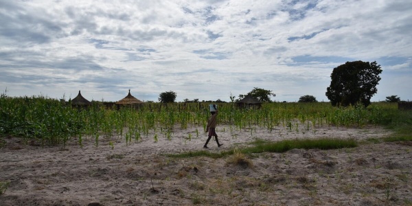 Bambina sorregge un secchio di acqua sulla testa mentre cammina su un terreno in Zambia